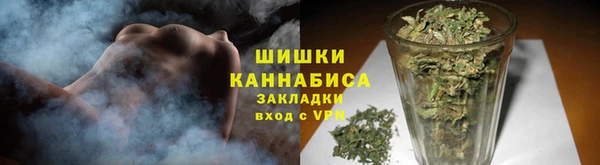 Альфа ПВП Горняк