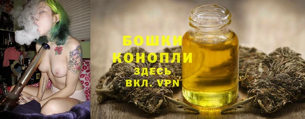 СК Горнозаводск
