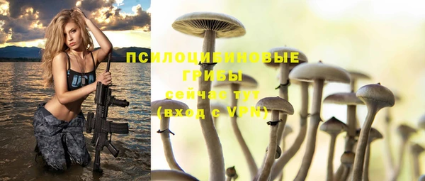 СК Горнозаводск