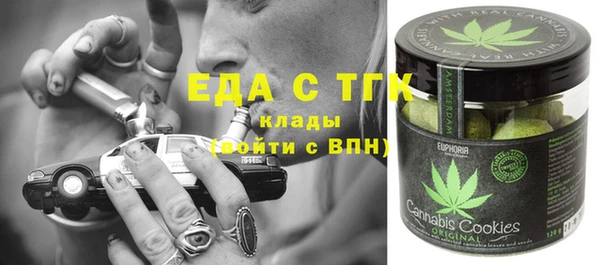 Альфа ПВП Горняк