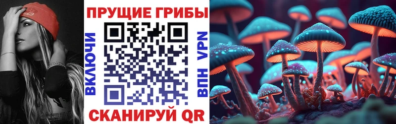 Купить где  Сысерть  Псилоцибиновые грибы ЛСД 