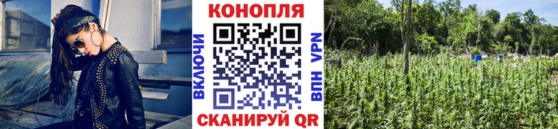 МАРИХУАНА семена Сысерть
